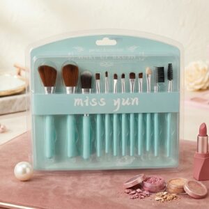 kit pinceaux 12 psc